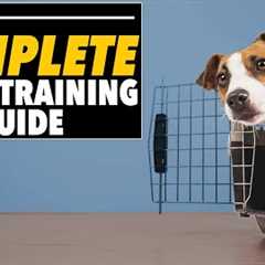 EVERYTHING You Need To Know Crate Training Plan