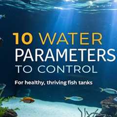 10 Aquarium Water Parameters to Control for Healthy Fish Tanks