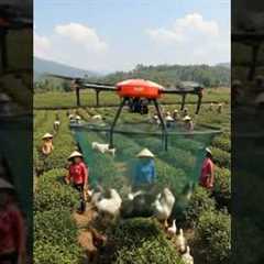 Amazing Drone Technology in Farming | Modern Agriculture with Farmers & Ducks
