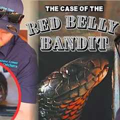 Venomous Snake TRAPPED Inside an Automatic Door!