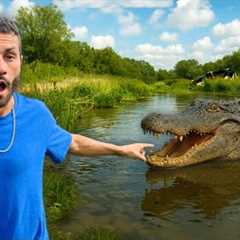 I FOUND A Camian In My COW POND!