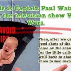 Top 5 FUNNIEST Amazon Reviews of ALL Time!