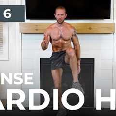 Day 6: 30 Min INTENSE CARDIO HIIT Endurance Workout [No Equipment] // 6WS2