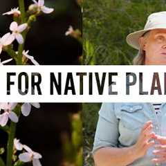 Native Plant Care Made Easy | Gardening 101 | Gardening Australia
