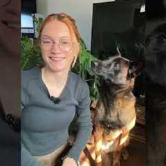 A quick Dog Training tip and something you can practice training with your dog! #dogowner