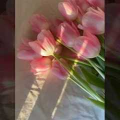 10 halal hobbies for women in Islam ✨🌼