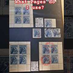 What Pages do I use for my Stamp Collection and Why?
