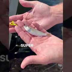 Easiest FLOUNDER Fishing Rig