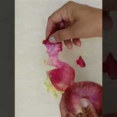 How to make homemade pesticide for plants #fertilizer #viral #shorts