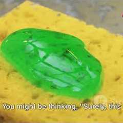 Using Homemade Natural Pest Control In Your Garden - 5 Plants/Products You Can Use