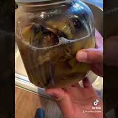 Homemade Fertilizer: How to make banana peel potassium