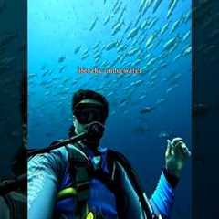 Scuba diving ar Netrani Island, Murdeshwar #travel #dive #divemurdeshwar #divinglife #divetrip #divi