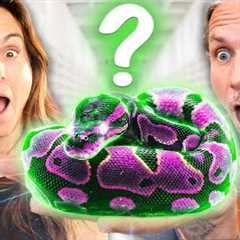 What Is This Mystery Snake Brian Barczyk Left Behind?