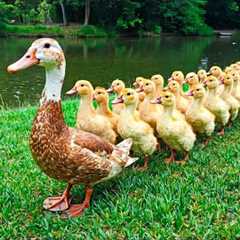 100% Relaxing Music Therapy 🍂 Stop Overthinking, Reduce Anxiety & Stress ~ Get Rid of All..