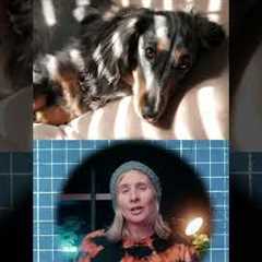 Photography hacks! #photography #hacks #photographylovers #photographylife #phototricks #sony #canon