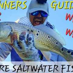 Beginners Guide To Inshore Saltwater Fishing 101! Where? When? What? How?