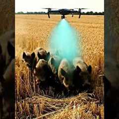 Drone Technology #villagelife#smartfarming#rurallife#farmingtraditions#farming101