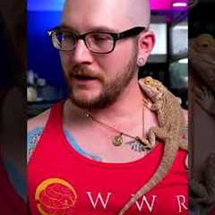 5 USELESS Reptile Products You're WASTING Your Money On!