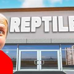 Tour Of A Legendary  Reptile Pet Shop!