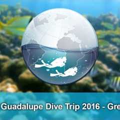 Elite Divers - Guadalupe Scuba Diving Trip 2016