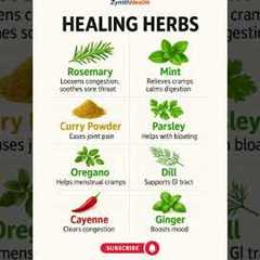 8 Healing Herbs You Should Use Daily 🌿 | Natural Health Hacks #shorts