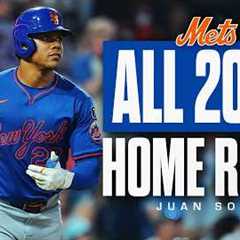 Every Juan Soto Home Run in 2025
