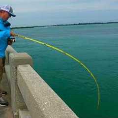 This Never Happens! | Florida Bridge Fishing Gets Wild