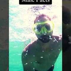 Why men with a hobby is so attractive😀#Hobbies #Attractiveness #lifetips   #hobby