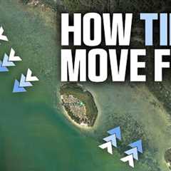 How Tides Move Fish (And How to Catch Them!)