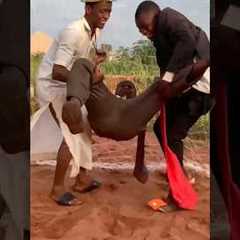 Funniest Soccer Moments Ever😂 | Crazy Football Fails & Comedy Highlights 🤣