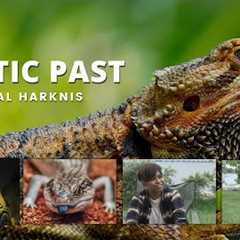 I Kept Exotic Pets in Singapore