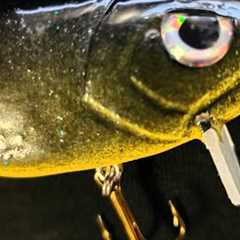 Hand Carved WAKEBAIT!