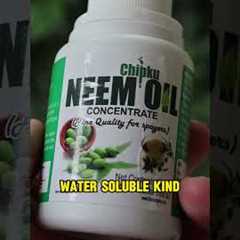 Neem Oil for Plants: Don't Make THIS Mistake! 🤯