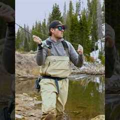 The Day the Fish Wouldn’t Bite (and What We Learned)