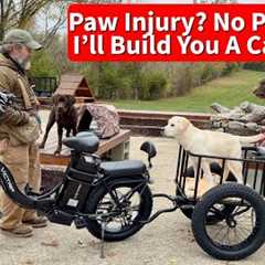 Puppy Pad Injury? No Problem, I'll build him a carriage!
