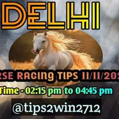 DELHI RACE TIPS 11-11-2025 | TIPS WITH ANALYSIS | FREE HORSE RACE TIPS | #delhiracetips