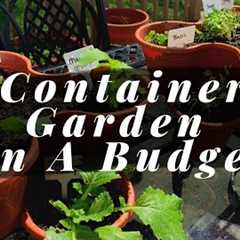 Container Gardening On A Budget | Dollar Tree