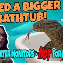 So You Want an Asian Water Monitor? Maybe You Don’t! (featuring Andrew's Reptile Ark)