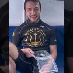 Scuba Diving Trip Koh Samui #scubadiving #scubadivinginstructor #kohsamui #scubadivingtrip