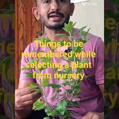 Selecting Right Plants For Our Garden #gardeningtips #gardening #plants #shorts #shortvideo