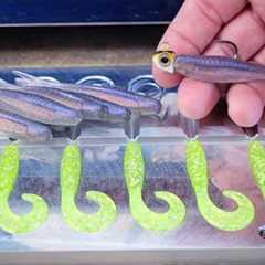 Going Smaller With My Soft Baits — Personal Stash Bait-Blog