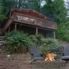 2025 Budget Breakdown: Cost to Develop Raw Land & Build a Cabin