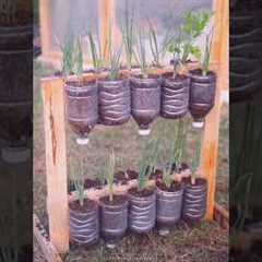 Creating a hanging vegetable garden #garden #roomtogrow #growathome