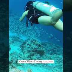 Scuba Diving in Lakshadweep