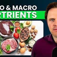 STOP Eating Junk Food For PERFECT Nutrition