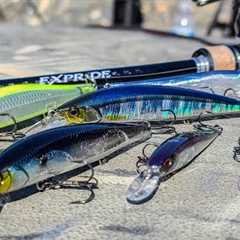 Fall Jerkbait Fishing! Beginner To Advanced! **Underwater Bait Footage**