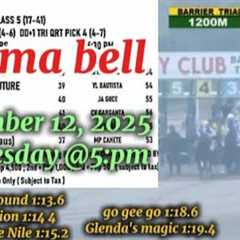 PJC ARNEL RACING TIPS WEDNESDAY @5:PM NOVEMBER 12, 2025 @PHILIPPINES JOCKEY CLUB WATCH &..