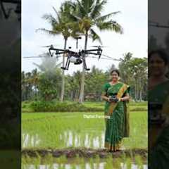 Woman Farmer Using Drone Technology | Smart Farming Spray in Paddy Field