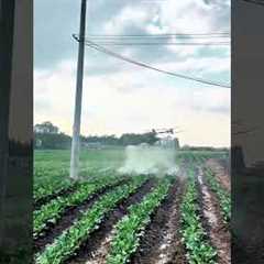Smart Agriculture Drone Spraying Machine – Precision Farming Technology Covering 8 Hectares per Hour