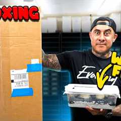 HUGE Unboxing + We Hatched A Worlds First Snake 